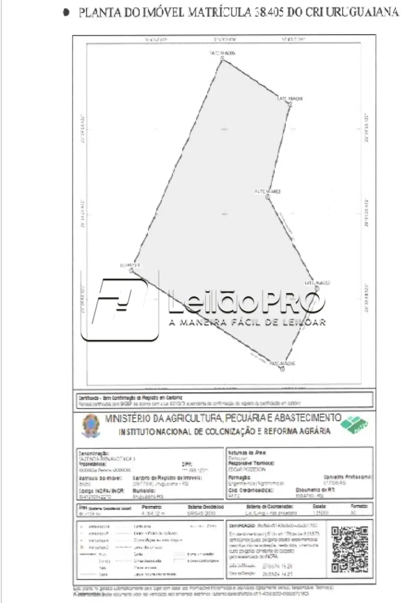 LOTE 001 - FRAÇÃO DE CAMPO (49,205ha)
