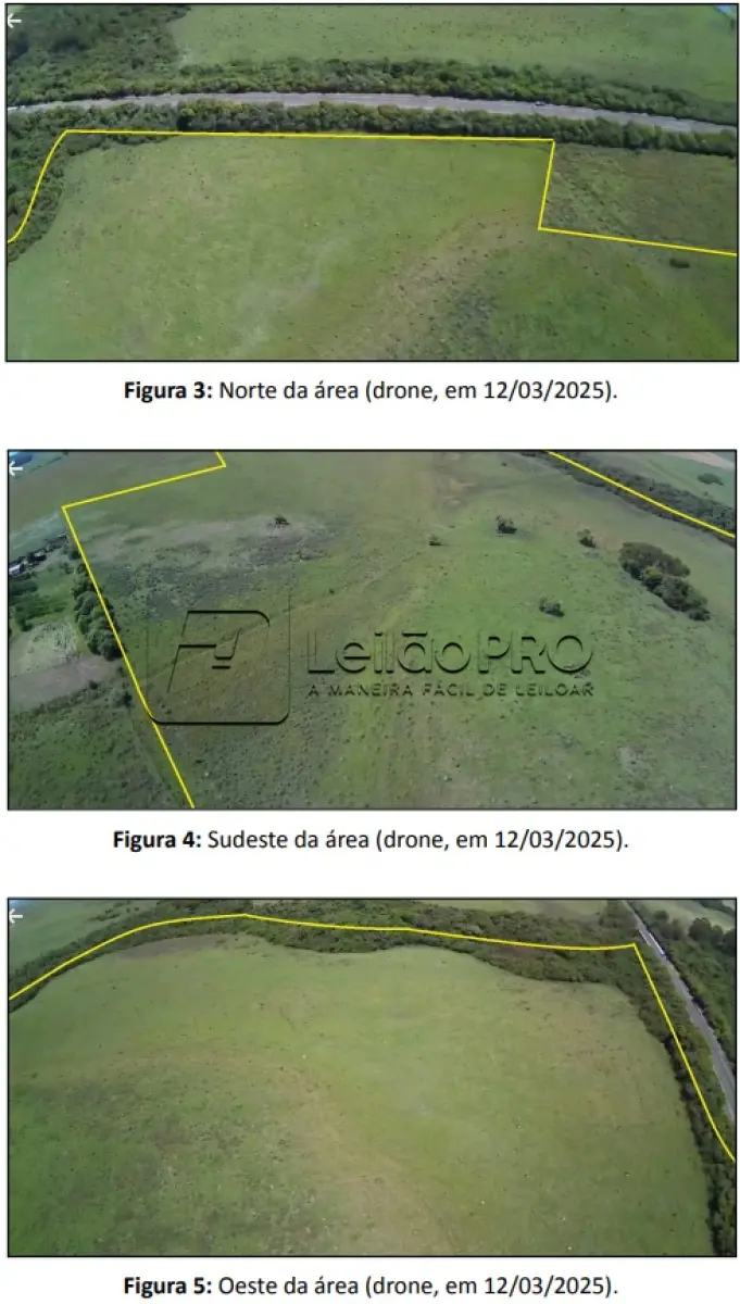 LOTE 001 - IMÓVEL: 04 HECTARES