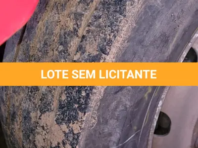 LOTE 001 - CAMINHÃO/TRATOR