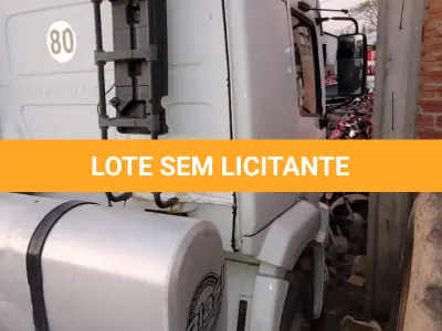 LOTE 002 - CAMINHÃO/TRATOR