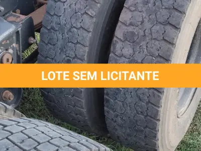LOTE 001 - CAMINHÃO/TRATOR