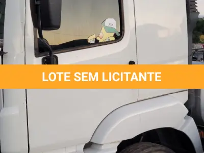 LOTE 002 - CAMINHÃO/TRATOR
