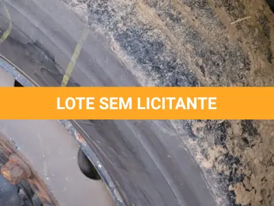 LOTE 001 - CAMINHÃO/TRATOR