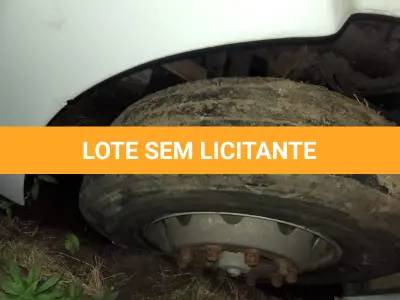 LOTE 002 - CAMINHÃO/TRATOR