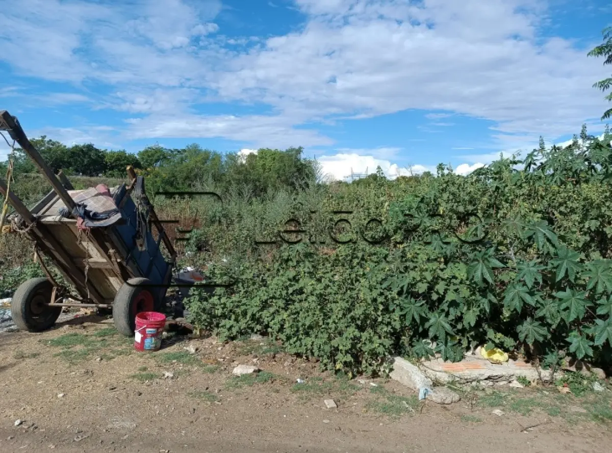 LOTE 001 - UM TERRENO