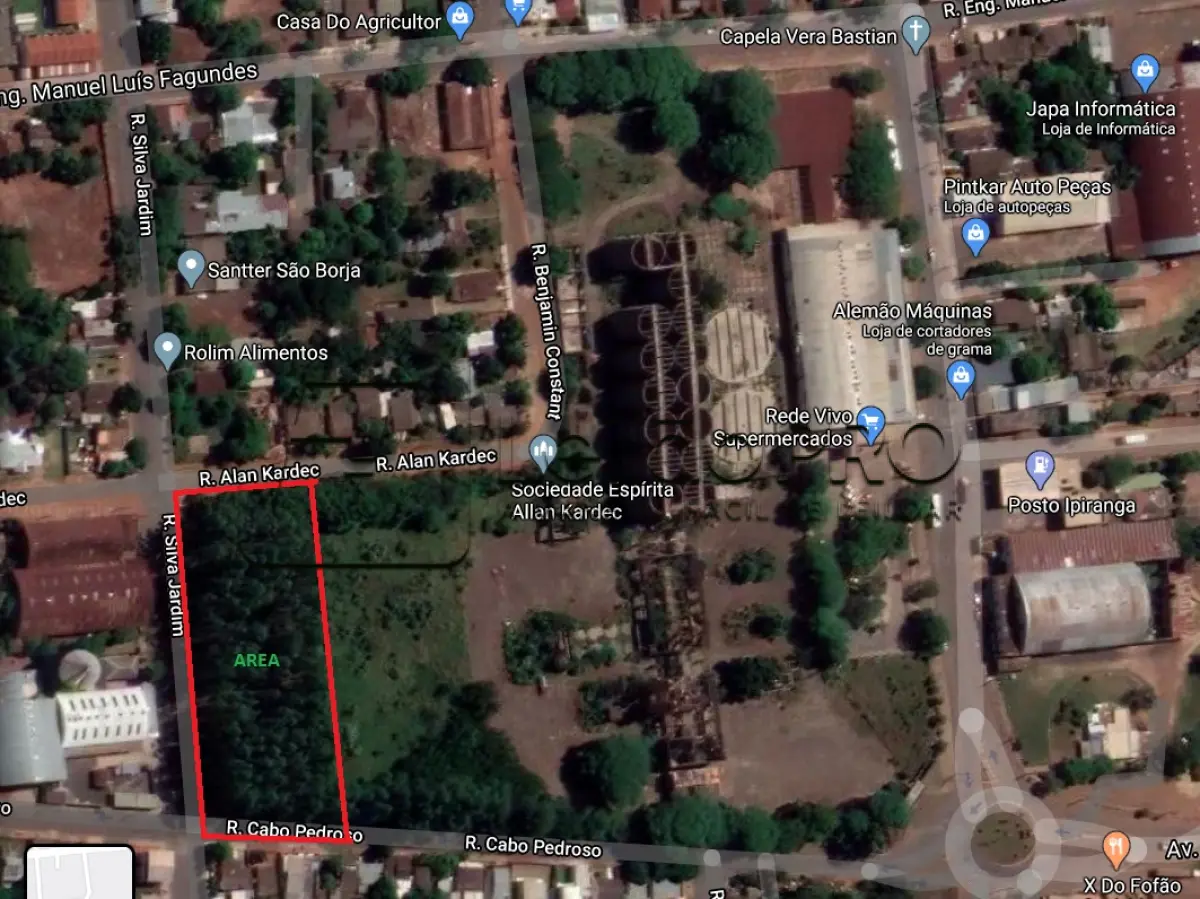 LOTE 002 - Uma plantação de eucaliptos