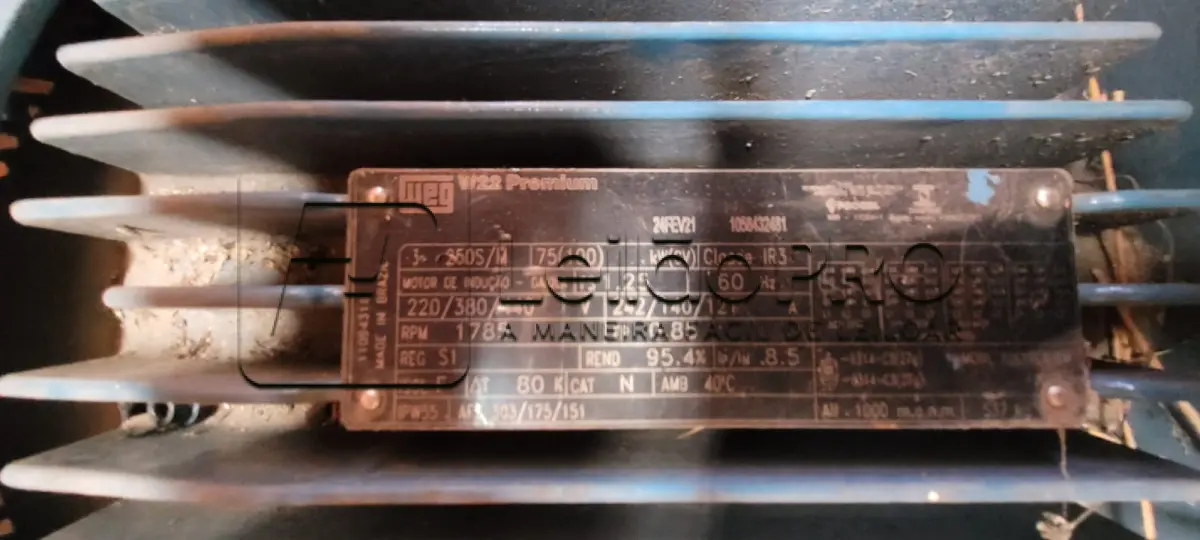 LOTE 001 - MOTOR DE INDUÇÃO INDUSTRIAL