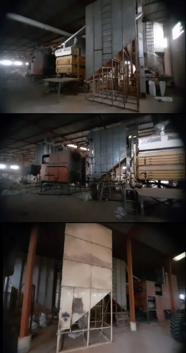 LOTE 001 - ESTRUTURA PARA SECAGEM E TRATAMENTO DE SEMENTES