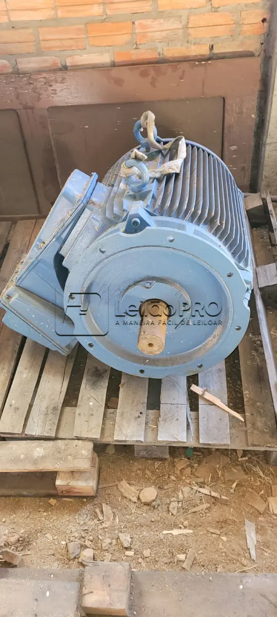 LOTE 001 - MOTOR DE INDUÇÃO INDUSTRIAL