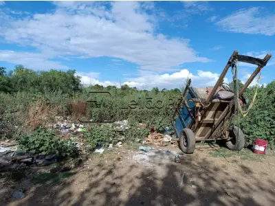 LOTE 001 - UM TERRENO