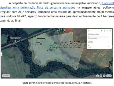 LOTE 001 - IMÓVEL: 04 HECTARES