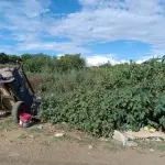 LOTE 001 - UM TERRENO