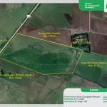 LOTE 001 - Fração de Terra de 95ha.11a.55ca