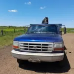 LOTE 001 - CAMIONETA F1000 HSD XL