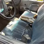 LOTE 001 - CAMIONETA F1000 HSD XL
