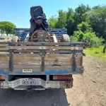 LOTE 001 - CAMIONETA F1000 HSD XL