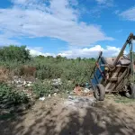 LOTE 001 - UM TERRENO