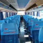 LOTE 001 - ONIBUS MBENZ/MPOLO VIAGGIO R