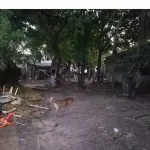 LOTE 001 - Uma casa de material, situada a Rua Afonso Escobar nº 851