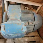 LOTE 001 - MOTOR DE INDUÇÃO INDUSTRIAL